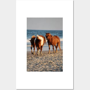 Assateague Beach Ponies Series - 02 Posters and Art